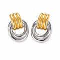 Aretes bicolor